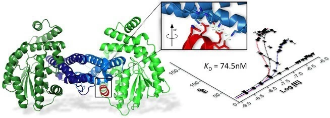 Chemiczna optymalizacja IBB PAN