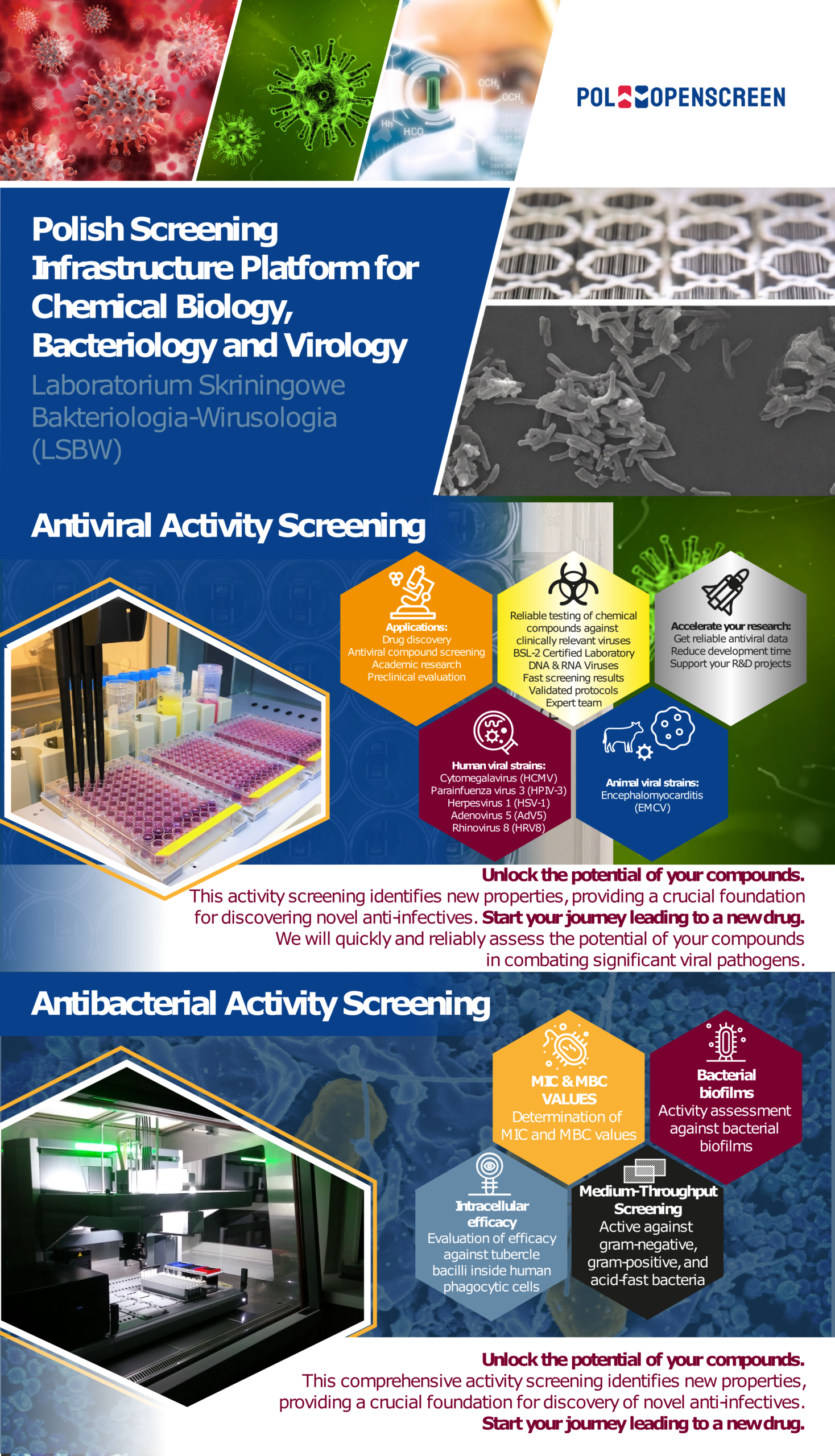 Ulotka Harmonijka Laboratorium-Skriningowe-Bakteriologia-Wirusologia-LSBW